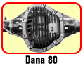 dana80b.gif
