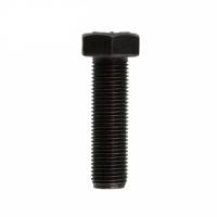 AAM - GM 14 Bolt Ring Gear Bolts - 4.10 & Down Case